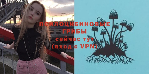 кокс Арсеньев