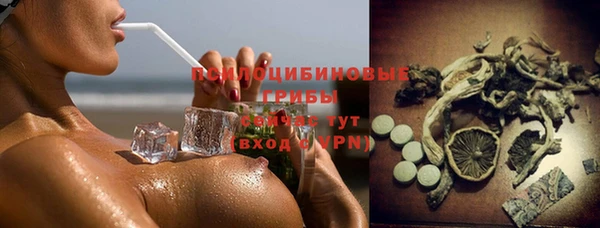 кокс Арсеньев