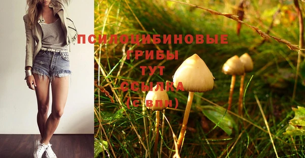 кокс Арсеньев