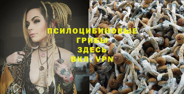 кокс Арсеньев