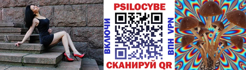 Псилоцибиновые грибы Cubensis  Нерюнгри 